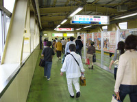 P1010104.jpg